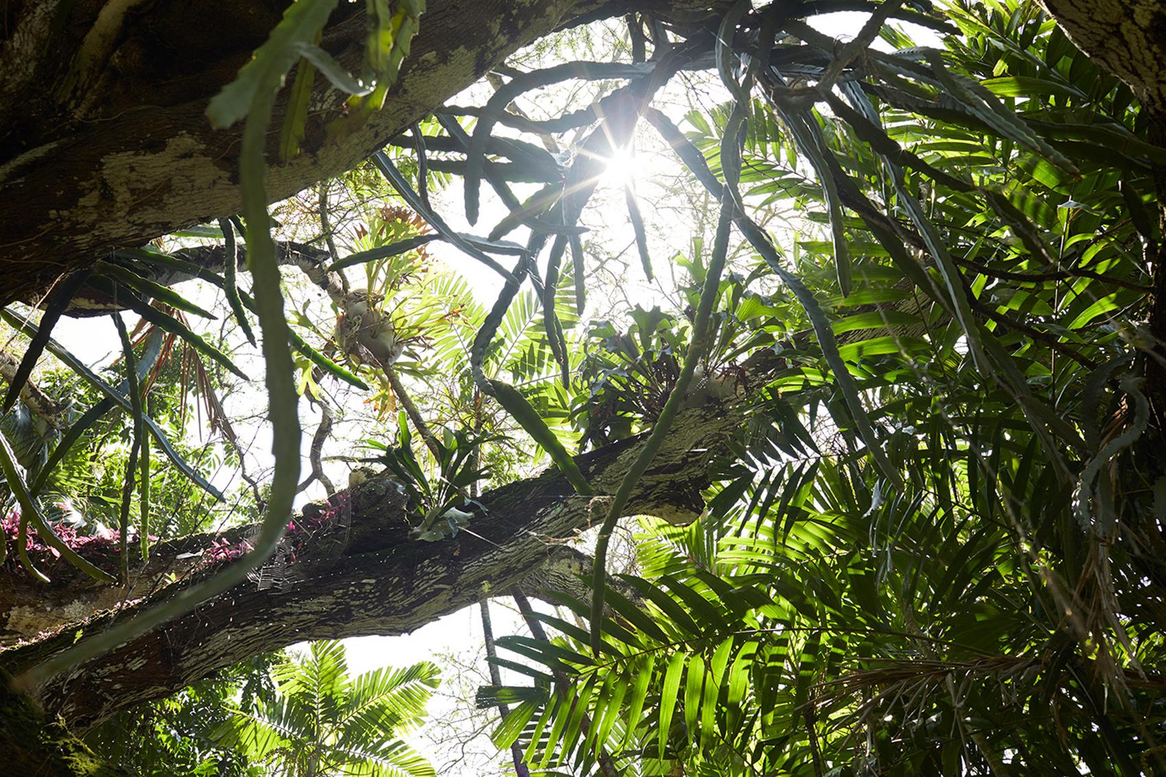 Kauai Parks Gardens Go Hawaii