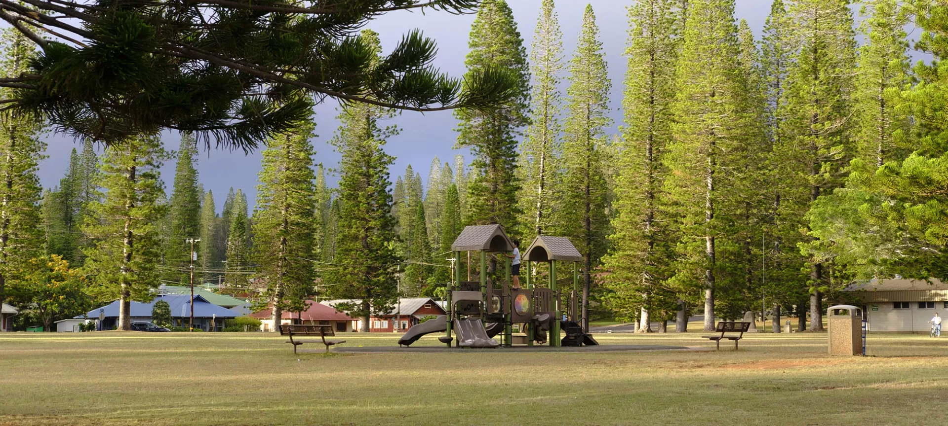 Dole Park Lanai