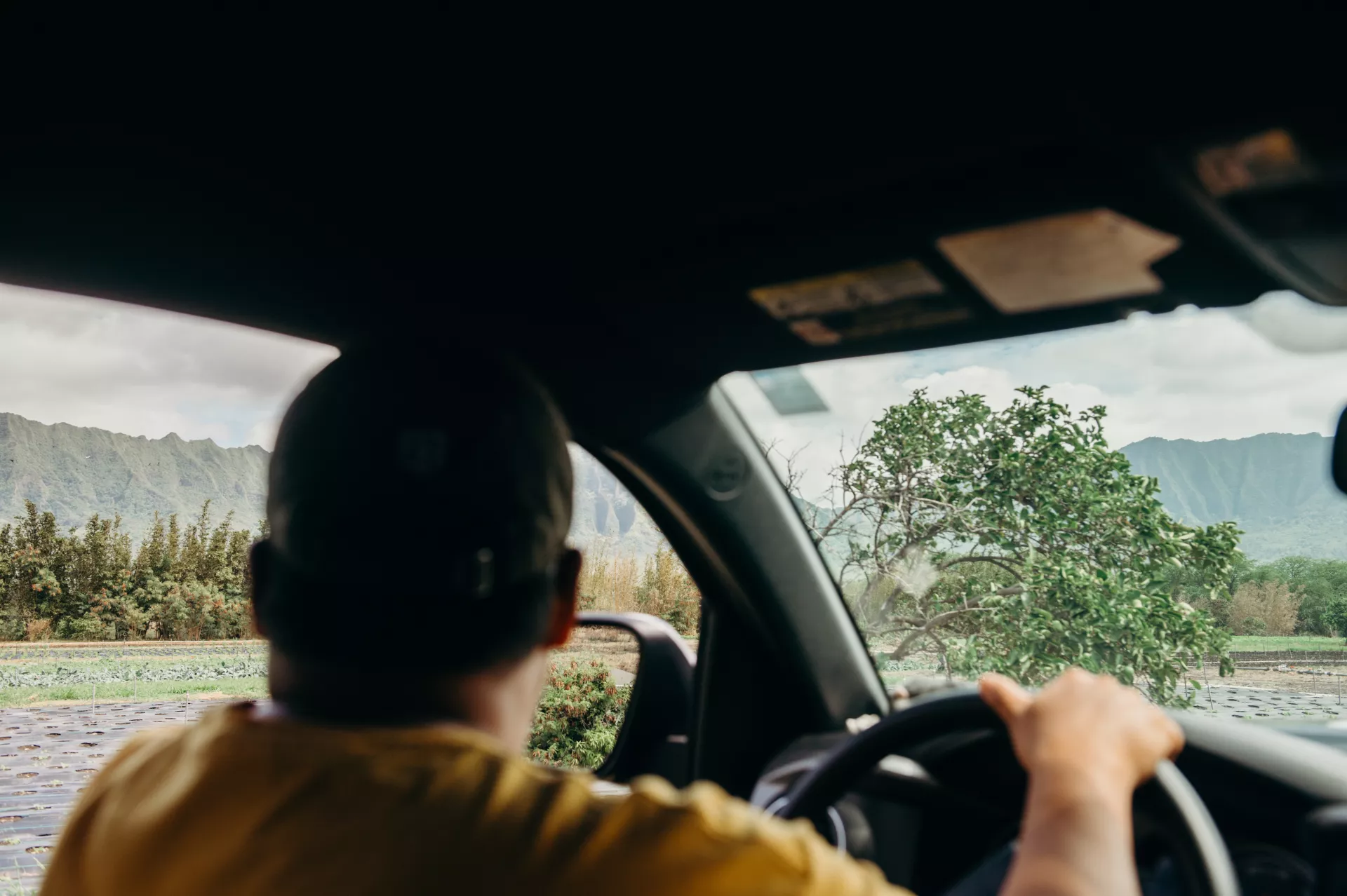Oahu Rideshares Oahu Rideshares