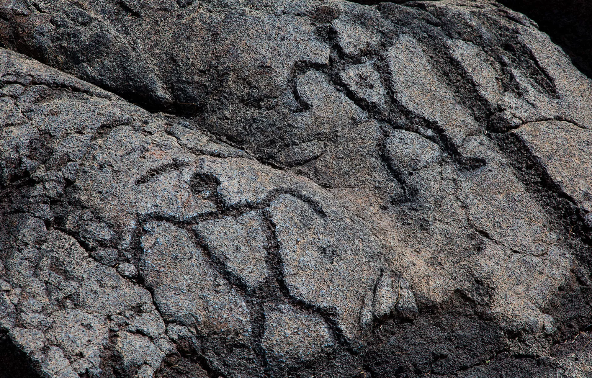 Petroglyphs Petroglyphs
