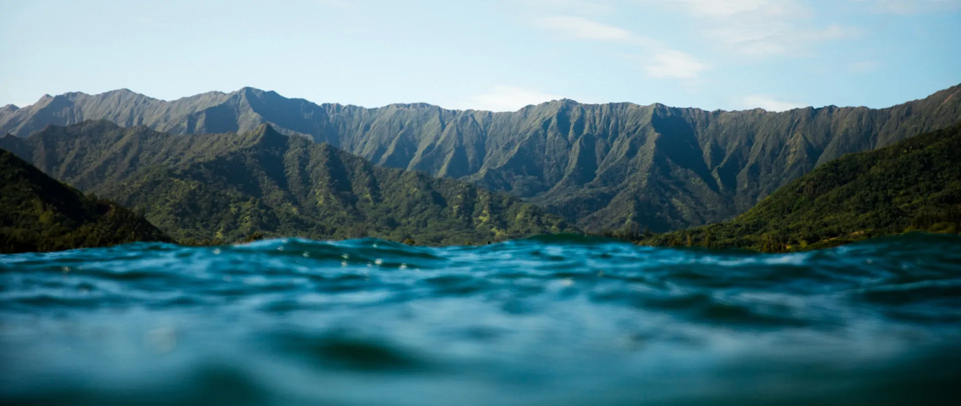 Hawaii Aloha
