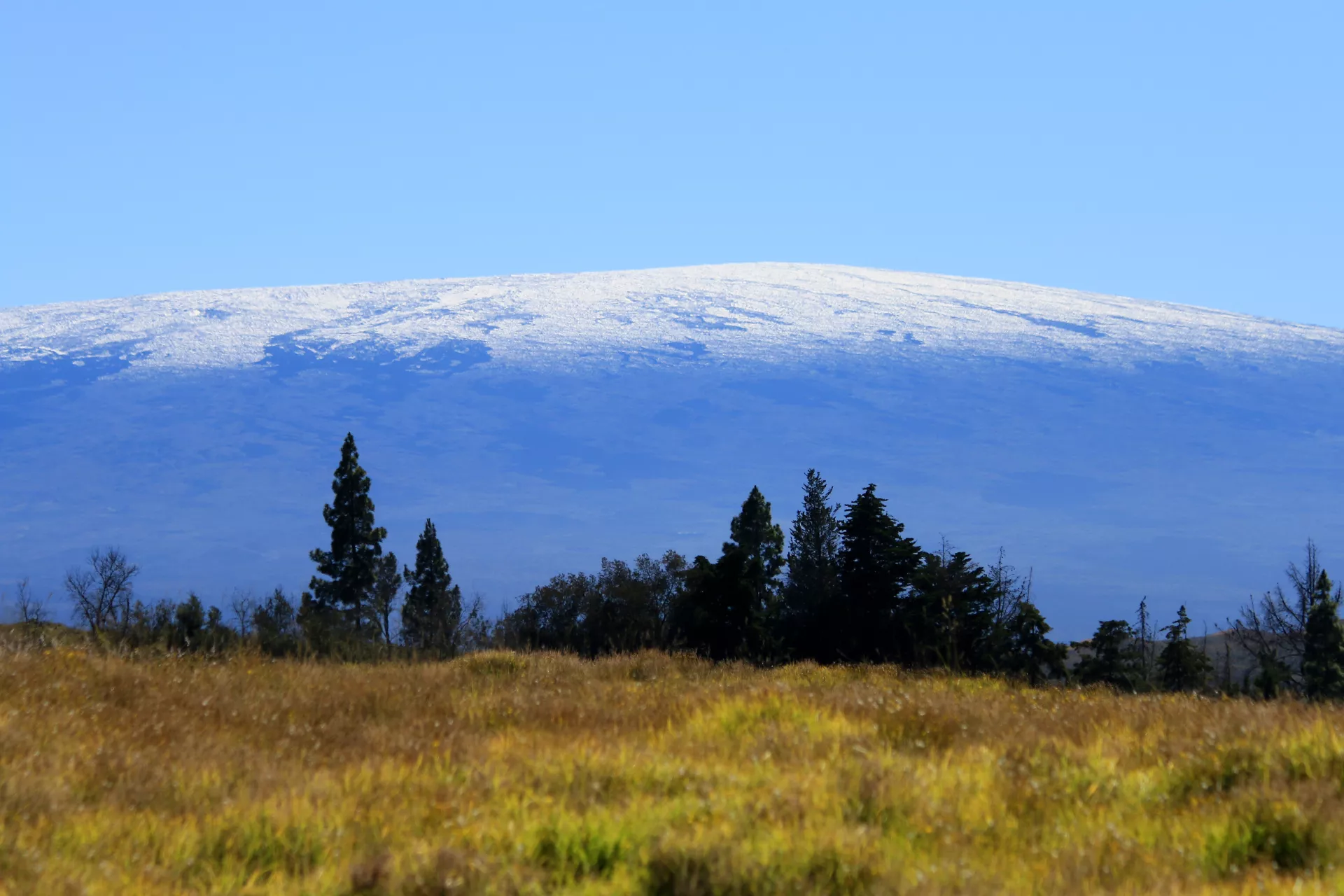 Mauna Loa volcano on the Island of Hawaii