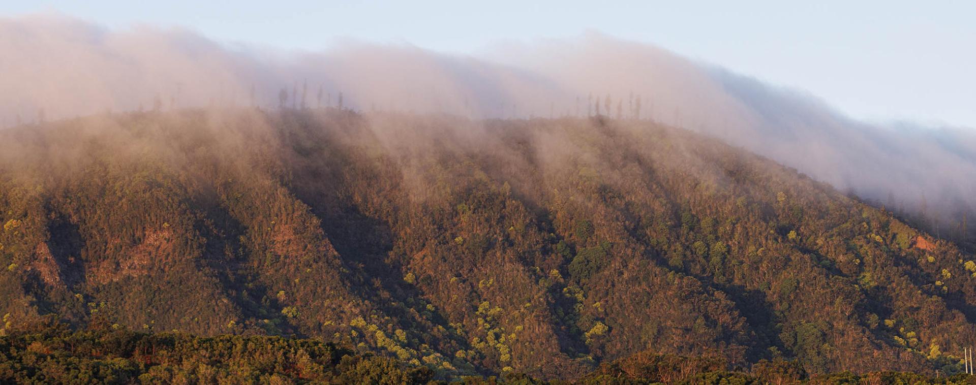 Lanai scenic image o mountain with fog