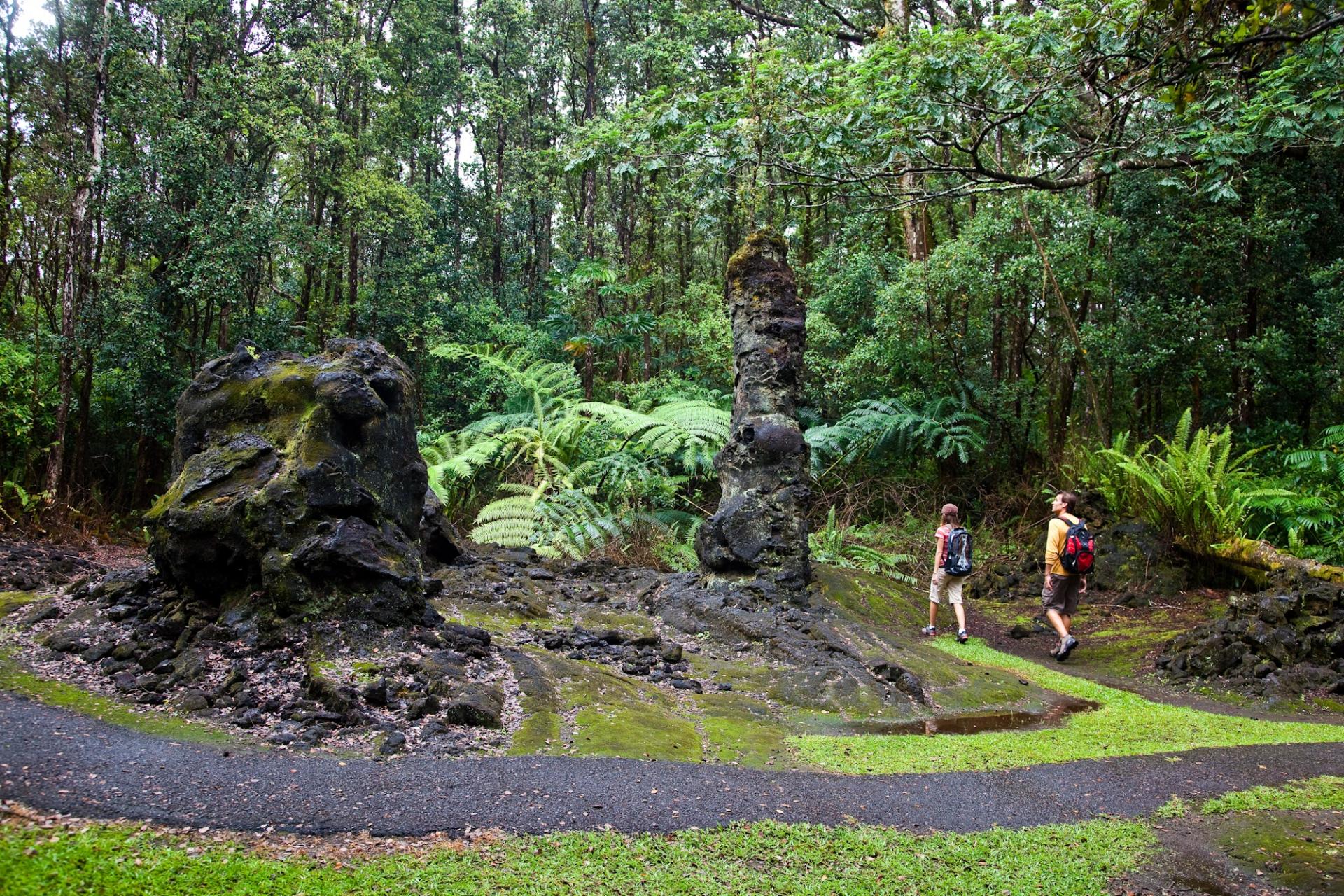 Lava Trees