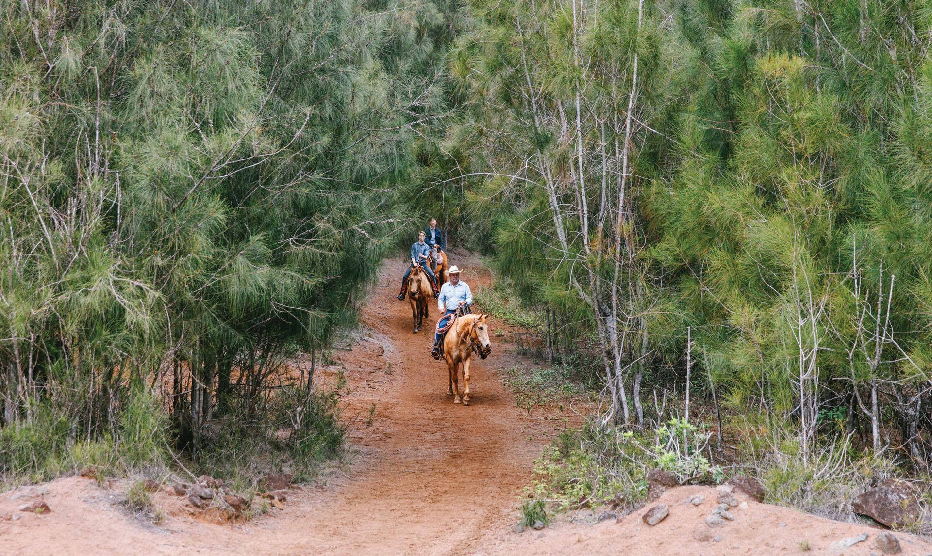 Horseback Riding Horseback Riding