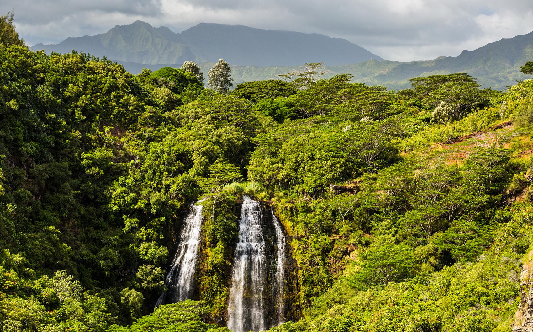 ʻŌpaekaʻa Falls Opaekaa Falls