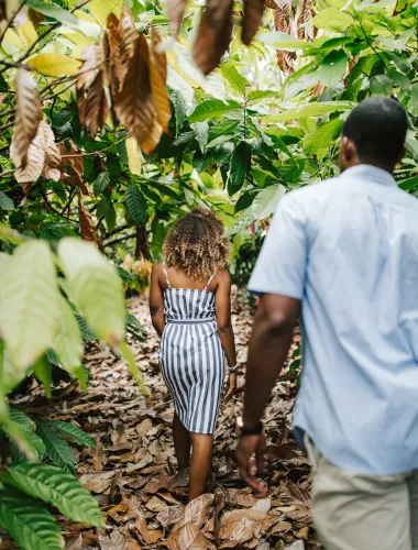 Couple walking through a cacao tree farm on the island of Hawaiʻi