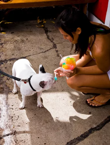 Local woman feeding a dog shave ice