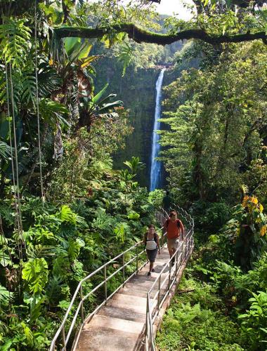 Akaka Falls State Park, Hilo, Island of Hawaii