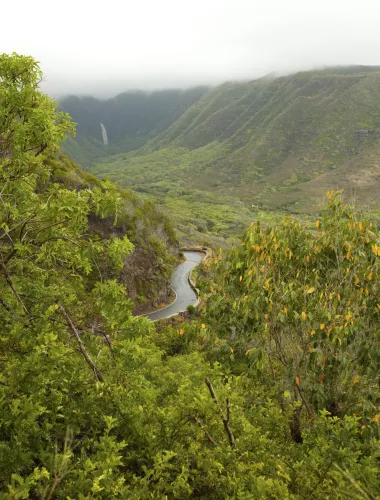 Halawa Valley