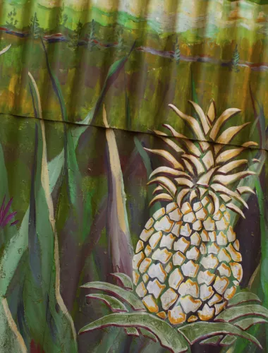 A painting of a pineapple