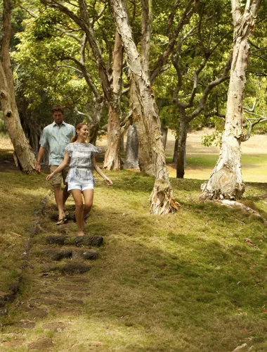 Scenic hiking trail on the Hawaiian island of Lanai
