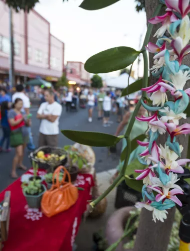 Street market on Maui