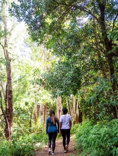 Hiking in Oʻahu