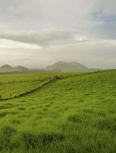 Waimea