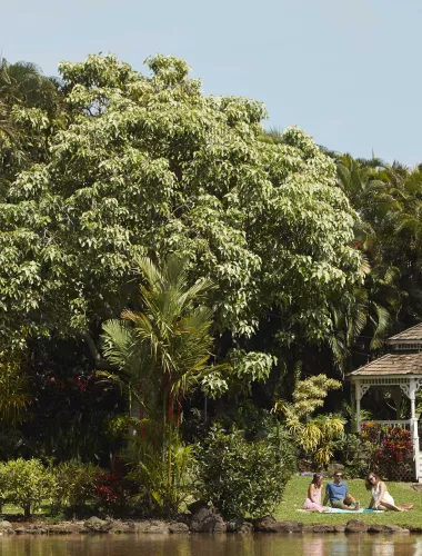 Central Maui
