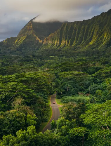  Hoʻomaluhia Botanical Gardens