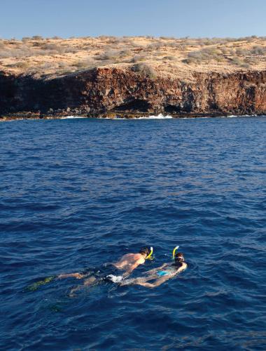 Couple snorkeling on their honeymoon on Lanai