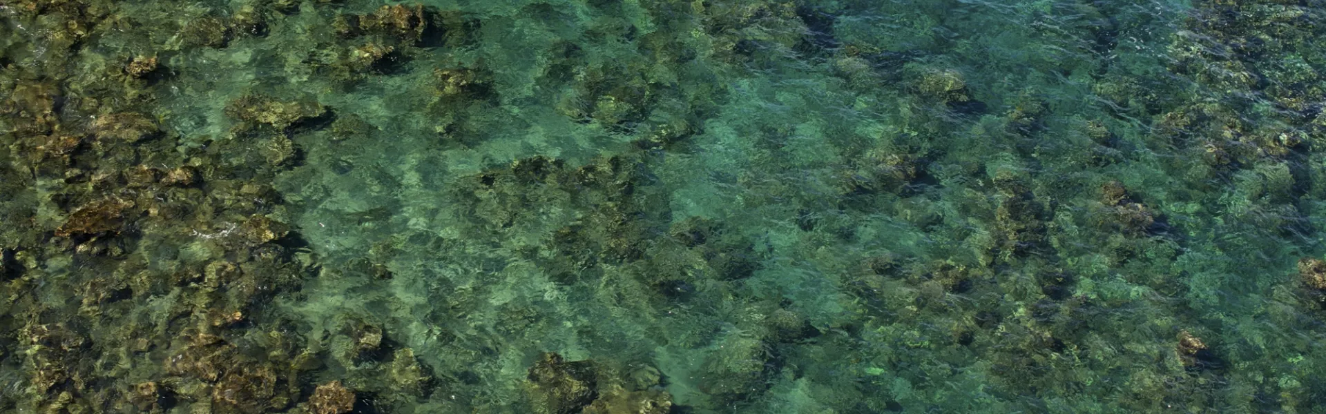 Water Background
