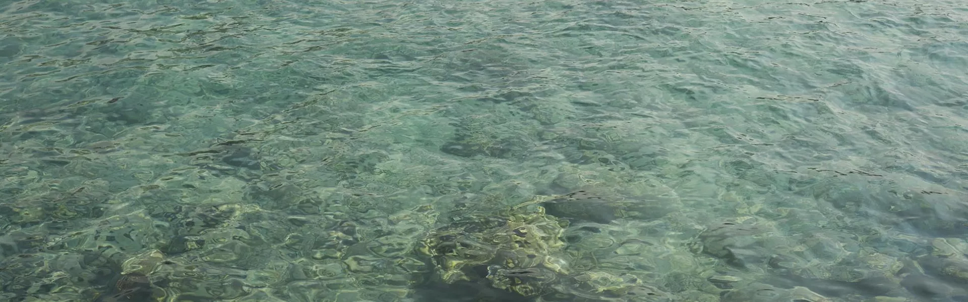 Water and rocks in Kona Island of Hawaii
