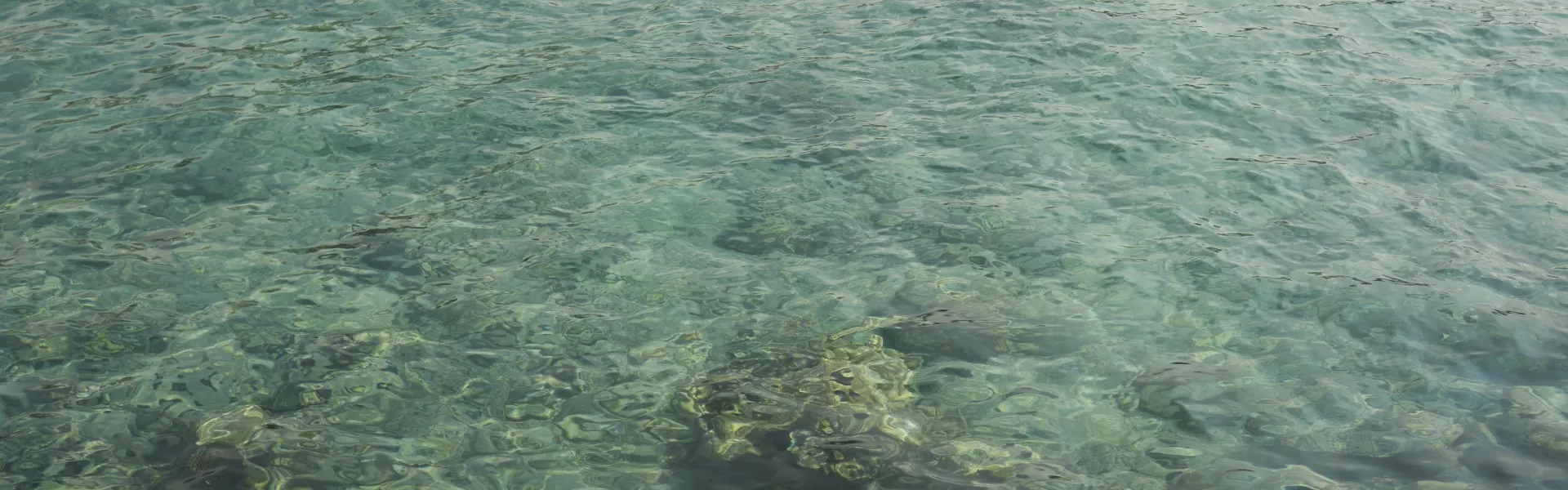 KAILUA_KONA
