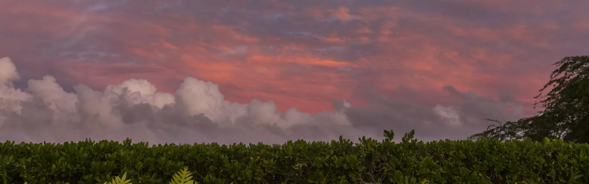 Maui Region Background