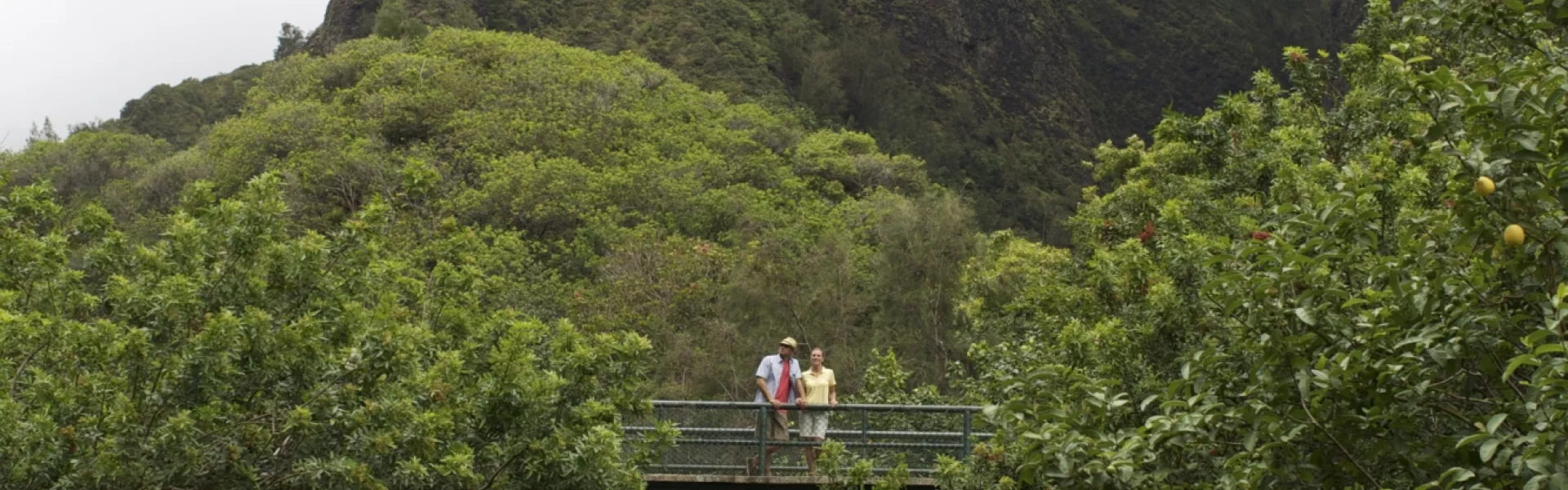 Hawaii Background