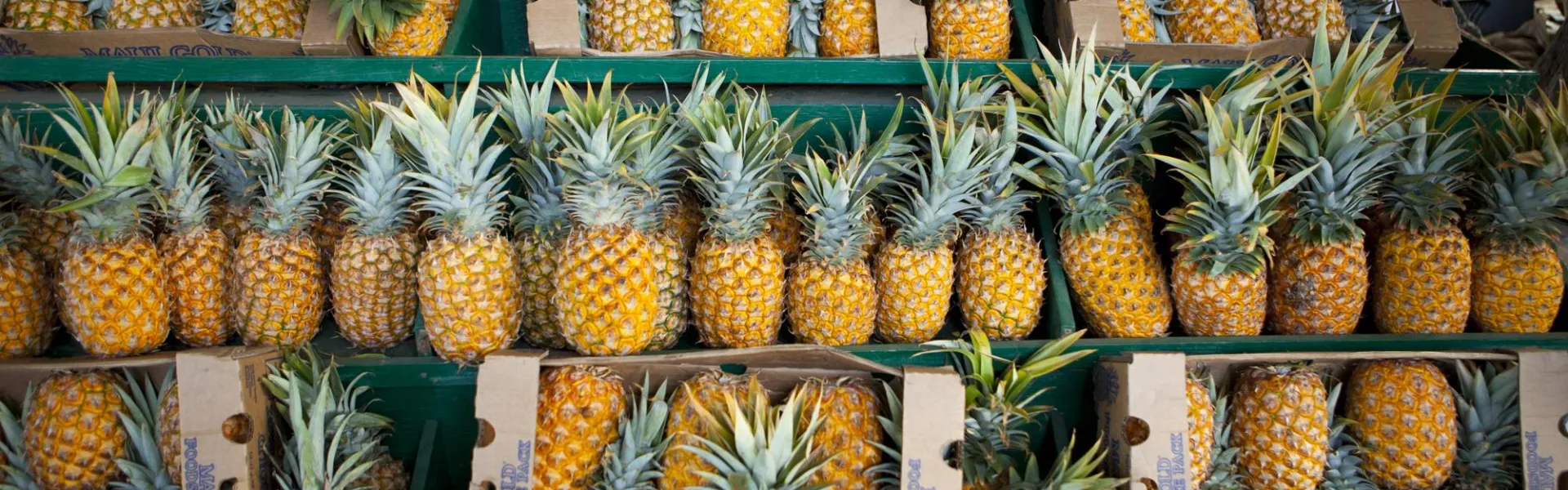 Pineapple Boxes