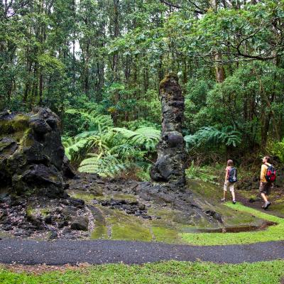 Lava Trees State Park in Puna on the island of Hawaii