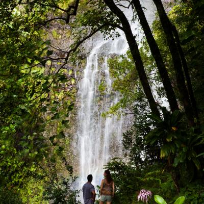 Waterfall off the Hana Highway in East Maui