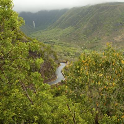 Halawa Valley