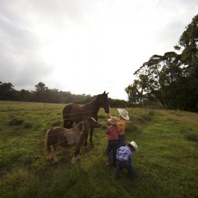 Horseback Riding