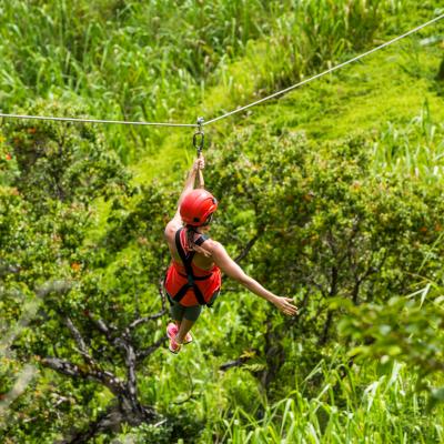 Ziplining & Rappelling Ziplining & Rappelling