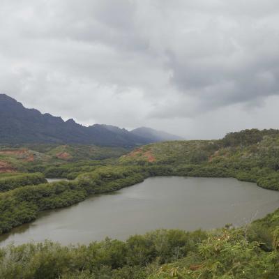 ʻAlakoko Fishpond Alekoko Fishpond