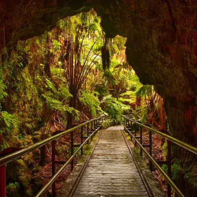 Nahuku (Thurston Lava Tube) Nahuku (Thurston Lava Tube)