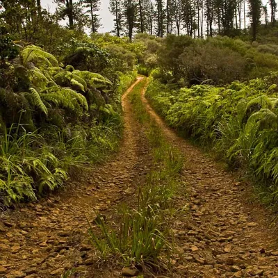 Munro Trail Munro Trail