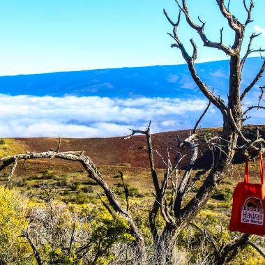 Mauna Kea - Hawaii Island