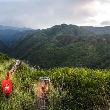 Wailuku