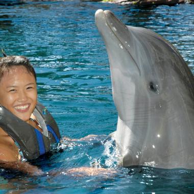 Dolphin Encounter