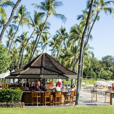 Hau Tree at Mauna Kea Beach Hotel