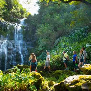 Kohala Waterfalls Adventure - Taking a hike with your guide
