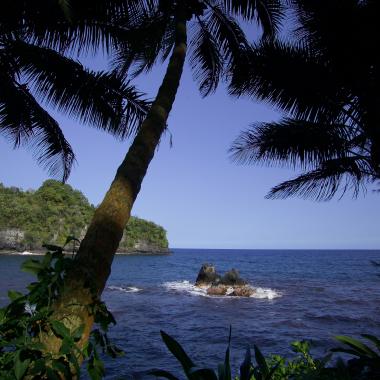 Twin Rocks at Onomea Bay