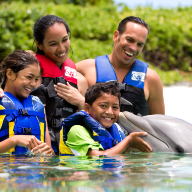 Dolphin Encounter