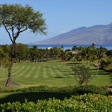 Wailea Blue Course-1