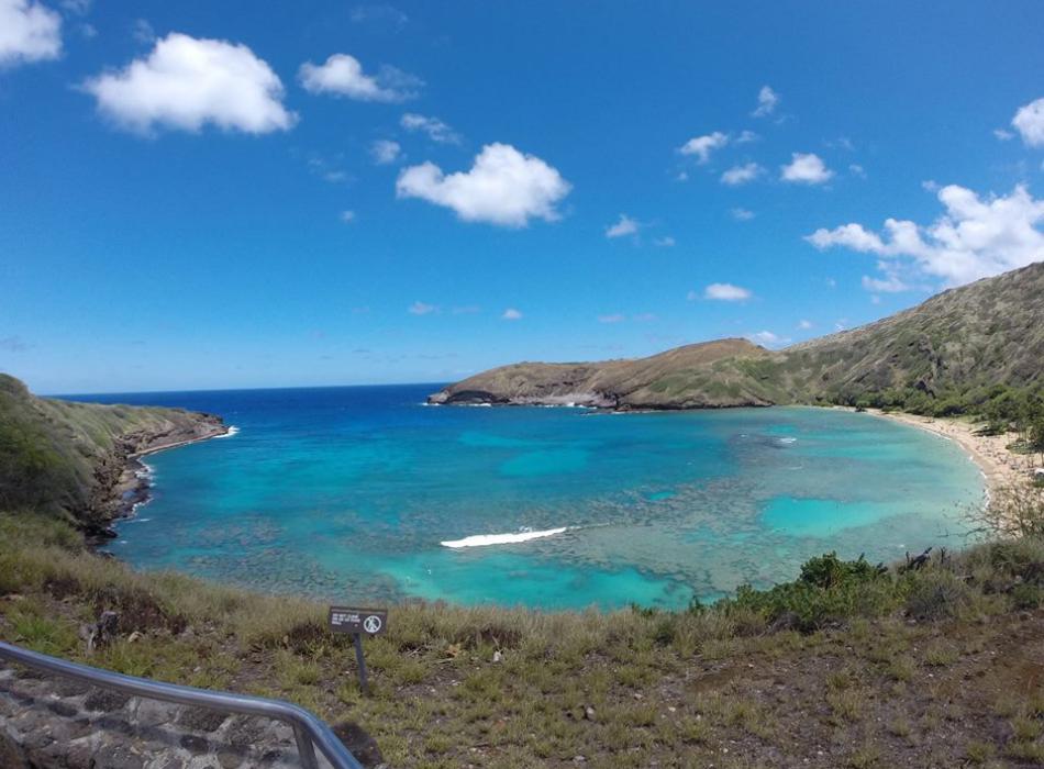 Hanauma Bay Dive Tours Go Hawaii