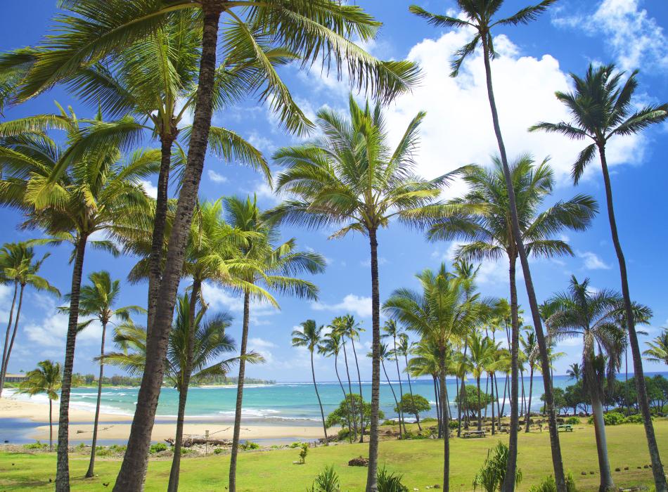 Hilton Garden Inn Kauai Wailua Bay Go Hawaii