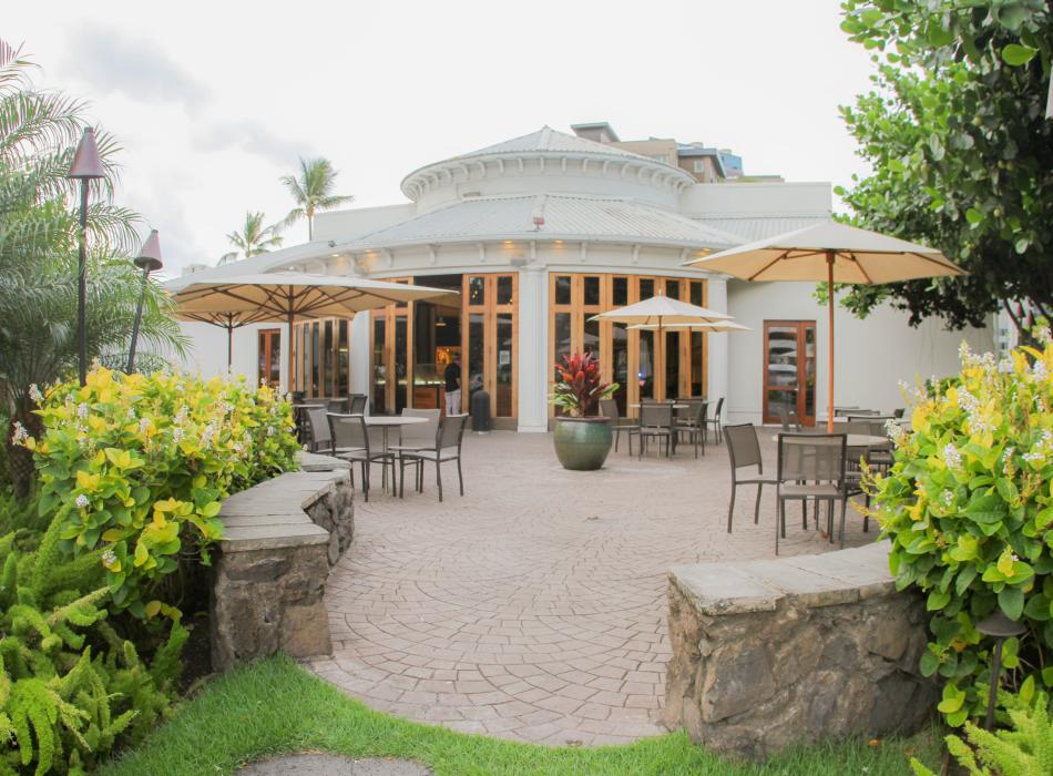 Honolulu Coffee Go Hawaii