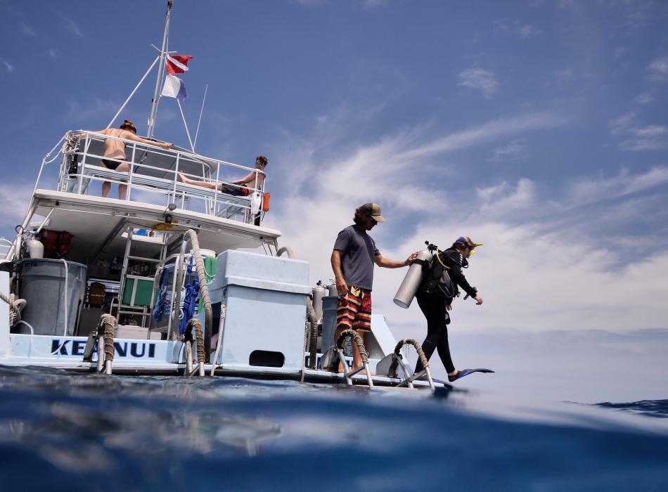 Jack's Diving Locker Go Hawaii