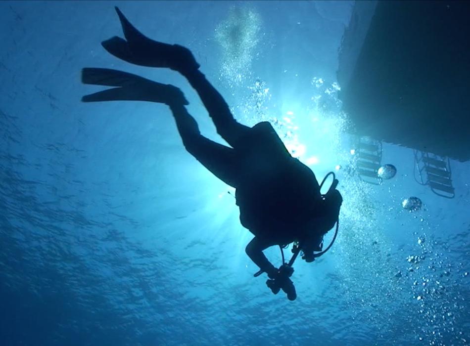 Jack's Diving Locker Go Hawaii