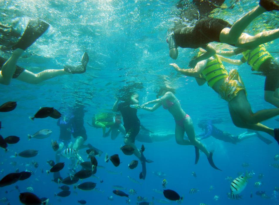 Ko Olina Ocean Adventures Go Hawaii